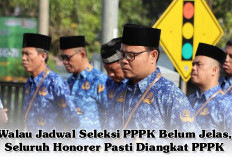 Walau Jadwal Seleksi PPPK Belum Jelas, Seluruh Honorer Pasti Diangkat PPPK