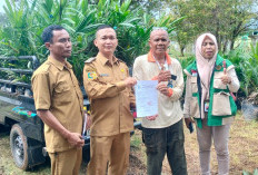 20.000 Batang Bibit Sawit Gratis Disalur, 50 – 200 Batang Per Petani