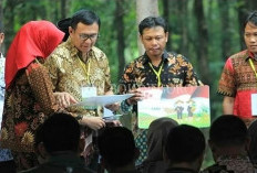 PT BNI Salurkan KUR Perhutanan Sosial untuk Ribuan Petani Penggarap Hutan