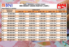 KUR BNI 2026 Jadi Solusi Modal Usaha Aman, Pinjaman Rp300 Juta Bisa Dicicil Mulai Rp 5,7 Juta per Bulan