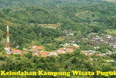 Jelajah Kampung Wisata Puguk, Nikmati Wisata Alam Hingga Wisata Kuliner di Kampung Bupati Seluma Pertama