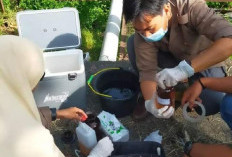 Pemkab Bengkulu Selatan Bakal Periksa Limbah Perusahaan dan Medis, Bupati Larang Saluran WC ke Sungai