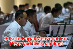 Hati-hati! Ada 3 Kartu yang Menyebabkan Peserta Tes CPNS Didiskualifikasi