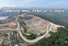 WOW! Deretan Tambang Emas Terbesar di Dunia, Indonesia Masuk Nggak Ya?