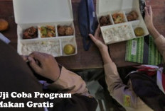 Uji Coba Program Makan Gratis di 100 Titik, Per Hari Habiskan 800 Miliar