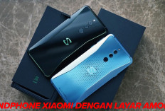 Pengalaman Visual yang Memukau, Inilah 6 Handphone Xiaomi dengan Layar AMOLED!