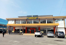 DPMPTSP Kaur Dorong Pelaku Usaha Kreatif Urus Legalitas Melalui OSS RBA, Cek Dampaknya di Sini!