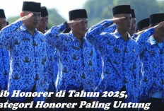 Nasib Honorer di Tahun 2025, Dua Kategori Honorer Paling Untung Apakah Anda Termasuk?