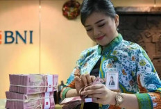 KUR BNI 2026 Hadir Lebih Fleksibel, Skema Yarnen dan Xpora Perkuat Sektor Produksi