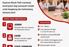 LOKER! Koperasi Desa Merah Putih, Butuh Pria/Wanita Lulusan SMA/SMK Bisa Mendaftar, Cek di Sini