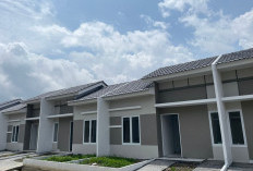 Patut Dicontoh: 6 Inspirasi Desain dan Tata Letak Teras Rumah Subsidi yang Menarik Kekinian