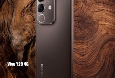 Vivo Y29 4G Harga Terjangkau, Inovasi Baru Segmen Antry Level, Material Schott Glass Berkelas