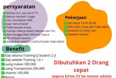 Lowongan Kerja di Bengkulu: Editor Video dan Personal Asisten Dibutuhkan 2 Orang