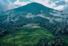 Kota Tersepi di Indonesia, Tiga dari Sumatera, Inilah Daerahnya