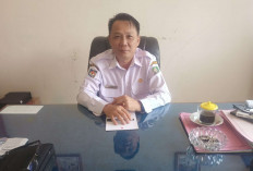 Maje dan Nasal Belum Terima Layanan Angkut Sampah, Ini Penjelasan Kadis DLH Kaur 