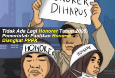 Tidak Ada Lagi Honorer Tahun 2025, Pemerintah Pastikan Honorer Diangkat PPPK