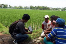 Diperjuangkan Gubernur Rohidin, 900 PPL di Bengkulu Akan Jadi Pegawai Pusat