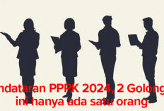 Pendafaran Sudah Dimulai,  Pendaftar PPPK 2024 Ada 2 Golongan hanya Satu Orang Pendaftar, Ini Rinciannya