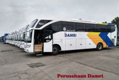 Damri Buka Loker, Sebagai Staff Administrasi, Segera Sampaikan Lamaran Anda!