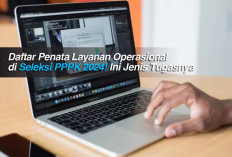 Daftar Penata Layanan Operasional di Seleksi PPPK 2024! Ini Jenis Tugasnya