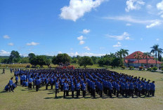 Nasib PPPK Paruh Waktu Bengkulu Selatan Tunggu Kepastian, Bupati Tegaskan Tak Akan Lepas Tangan