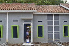 Temukan 5 Cara Menata Teras Rumah Sempit di Perumahan Subsidi dengan Kebun Kecil yang Unik