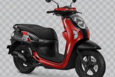 Kelebihan dan Kekurangan Honda Scoopy Yang Mesti Diketahui Sebelum Meminangnya 