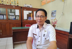 Layanan Kartu Kuning Bisa Diakses di MPP Bintuhan, Cek Penjelasan Lengkapnya!