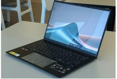 ASUS Zenbook 14 OLED UM3406GA: Solusi Laptop Premium untuk Menunjang Pekerjaan Masa Kini