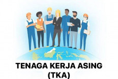Jumlah TKA Terdata di Bengkulu Cuma   4 Orang? Ini Penjelasan Disnakertrans