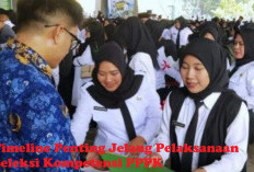 3 Timeline Penting Jelang Pelaksanaan Seleksi Kompetensi PPPK Periode Pertama