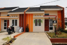 Ini Keuntungannya Jika Rumah Subsidi Berdesain Modern dan Miliki Cat Rumah yang Unik! 