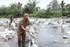 Bupati Dorong Seluruh Pemdes di Bengkulu Selatan Kelola Sampah Melalui APBDes