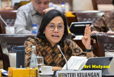 Rumahnya Ikut Jadi Target Penjarahan Massa, Ternyata Segini Harta Kekayaan Sri Mulyani