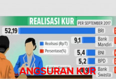 Resiko Apabila Telat Bayar Angsuran KUR yang Harus Diingat 