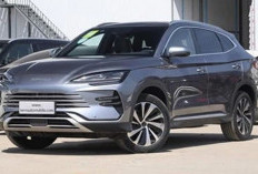 BYD Song Plus Tantangi Mobil Mewah, SUV Listrik Asal Cina Makin Dilirik