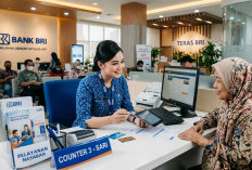 Ringan di Kantong! Ini Skema Angsuran KUR BRI Rp 30 Juta yang Wajib Diketahui