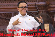 Masa Kerja Minimal 2 Tahun, Honorer Bisa Mengikuti Seleksi PPPK 2024