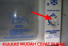 Alasan Mengapa Kulkas Cepat Rusak Saat Tinggal di Tepi Pantai 