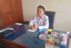 Atasi Persoalan Sampah, DLH Kaur Mesin Incinerator, di Sini Lokasi Operasinya!