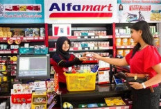 Loker Alfamart Wilayah Seluma untuk Lulusan SMA/SMK, Posisi Bagus, Cek di Sini Syaratnya