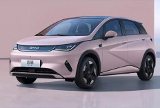 BYD Dolphin 2026 Pembaruan Besar,   Lebih Ramping, Blade Battery 2.0