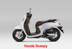 Honda Scoopy: Desain Stylish dengan 8 Varian Warna Menggoda, Dijamin Terpukau