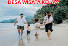 Desa Wisata Kelawi di Lampung, Tawarkan   Keindahan Alam Hingga Penangkaran Tukik