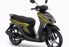 Yamaha Gear Bawa Beban Berat Tak Loyo, Begini Kekuatan yang Stabil