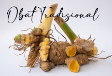 Obat Tradisional Usus Buntu, Berikut Nama Tanaman dan Cara Mengolahnya 