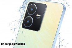 5 HP Harga Rp2 Jutaan, HP Vivo Tak Mau Ketinggalan, Layar Mantap, Desain Ok, Fitur Berkelas dan Laris