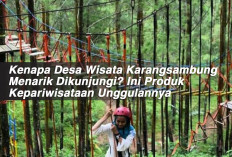 Kenapa Desa Wisata Karangsambung Menarik Dikunjungi? Ini Produk Kepariwisataan Unggulannya