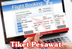 Berapa Harga Tiket Pesawat Bengkulu-Jakarta 14 Agustus ? Yuk Intip di Sini