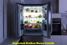 Kulkas Boros Listrik, Ini 8 Penyebab Utama yang Bikin Tagihan Meningkat